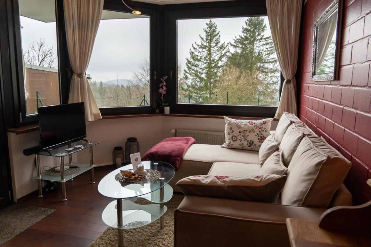 Fewo Harzer Weitblick, Hunde Willkommen, W-Lan, 2X Smart Tv, Dtv 4 Sterne, 4 Pfoten Браунлаге Экстерьер фото