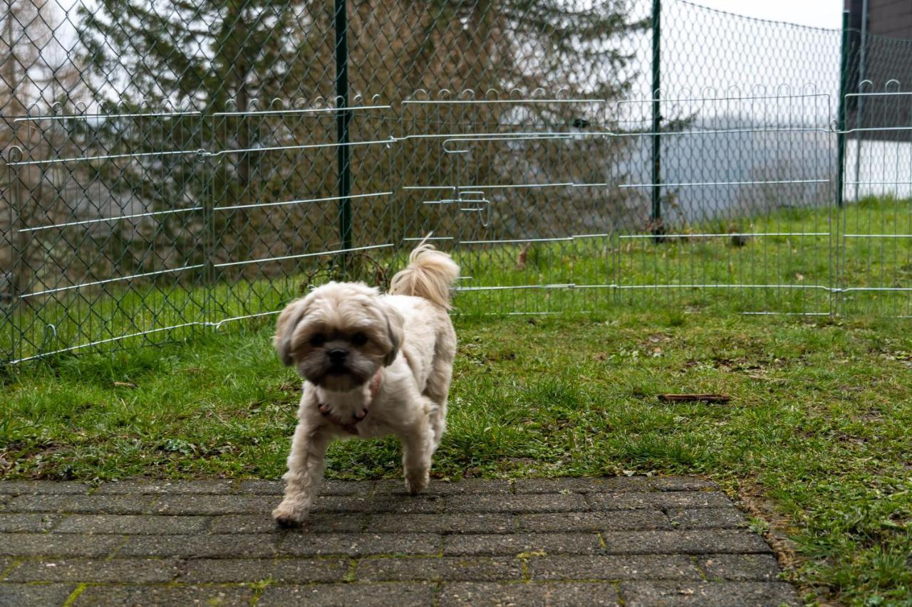 Fewo Harzer Weitblick, Hunde Willkommen, W-Lan, 2X Smart Tv, Dtv 4 Sterne, 4 Pfoten Браунлаге Экстерьер фото