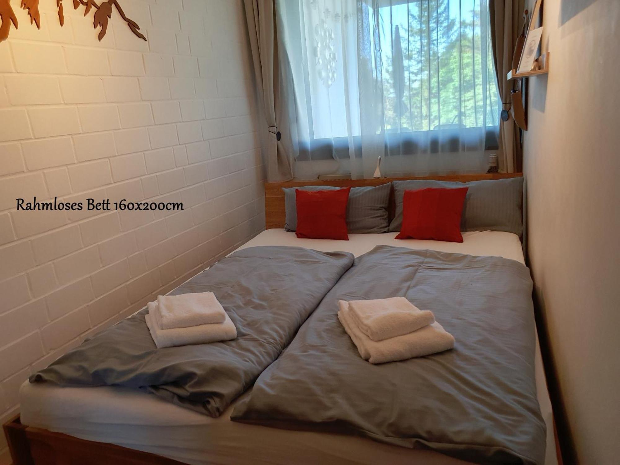 Fewo Harzer Weitblick, Hunde Willkommen, W-Lan, 2X Smart Tv, Dtv 4 Sterne, 4 Pfoten Браунлаге Экстерьер фото